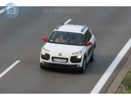 GS 79554, Citroёn C4 Cactus