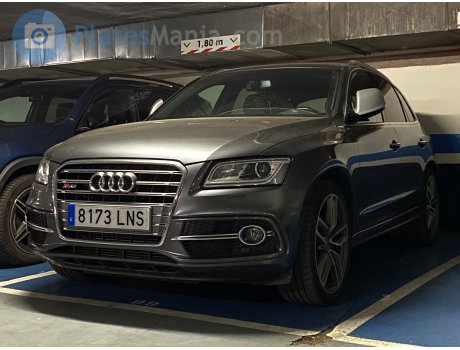 8173 LNS, Audi SQ5