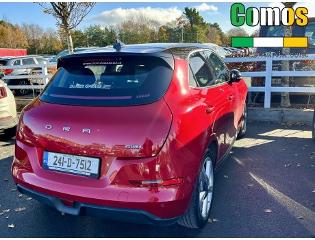 241-D-7512, Ora (Oula) 03/ Haomao/ Good(Funky) cat