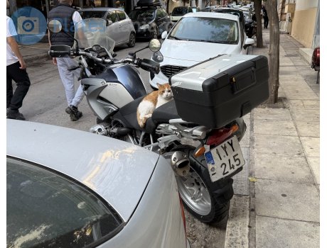 IYY-245, BMW R Series