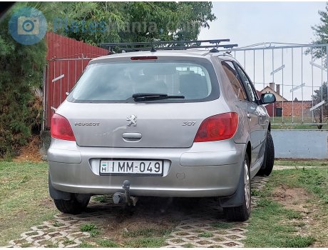 IMM-049, Peugeot 307