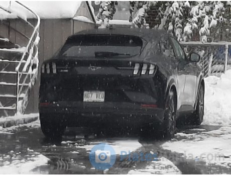 N67 VEQ, Ford Mustang Mach-E