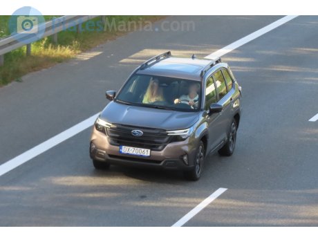 DX 70061, Subaru Forester