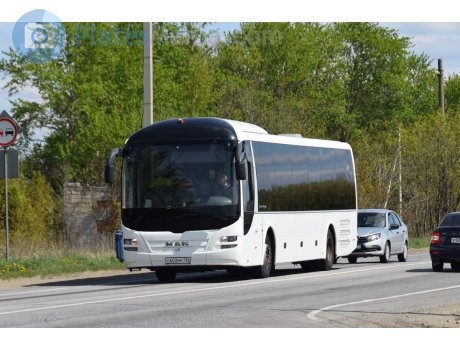 с602мр136, MAN Lion