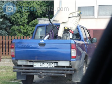 IAR-980, Nissan Pickup