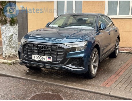 е003мо, Audi Q8