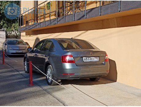 в833ео799, Skoda Octavia