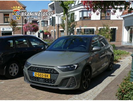 Z-503-BK, Audi A1
