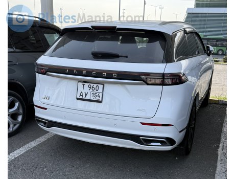 т960ау154, Jaecoo J8