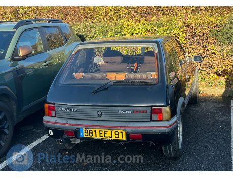 981 EEJ 91, Peugeot 205