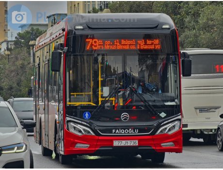 77 JY 736, Golden Dragon XML6125