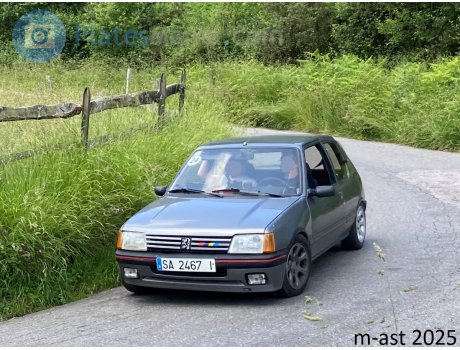 SA 2467 I, Peugeot 205