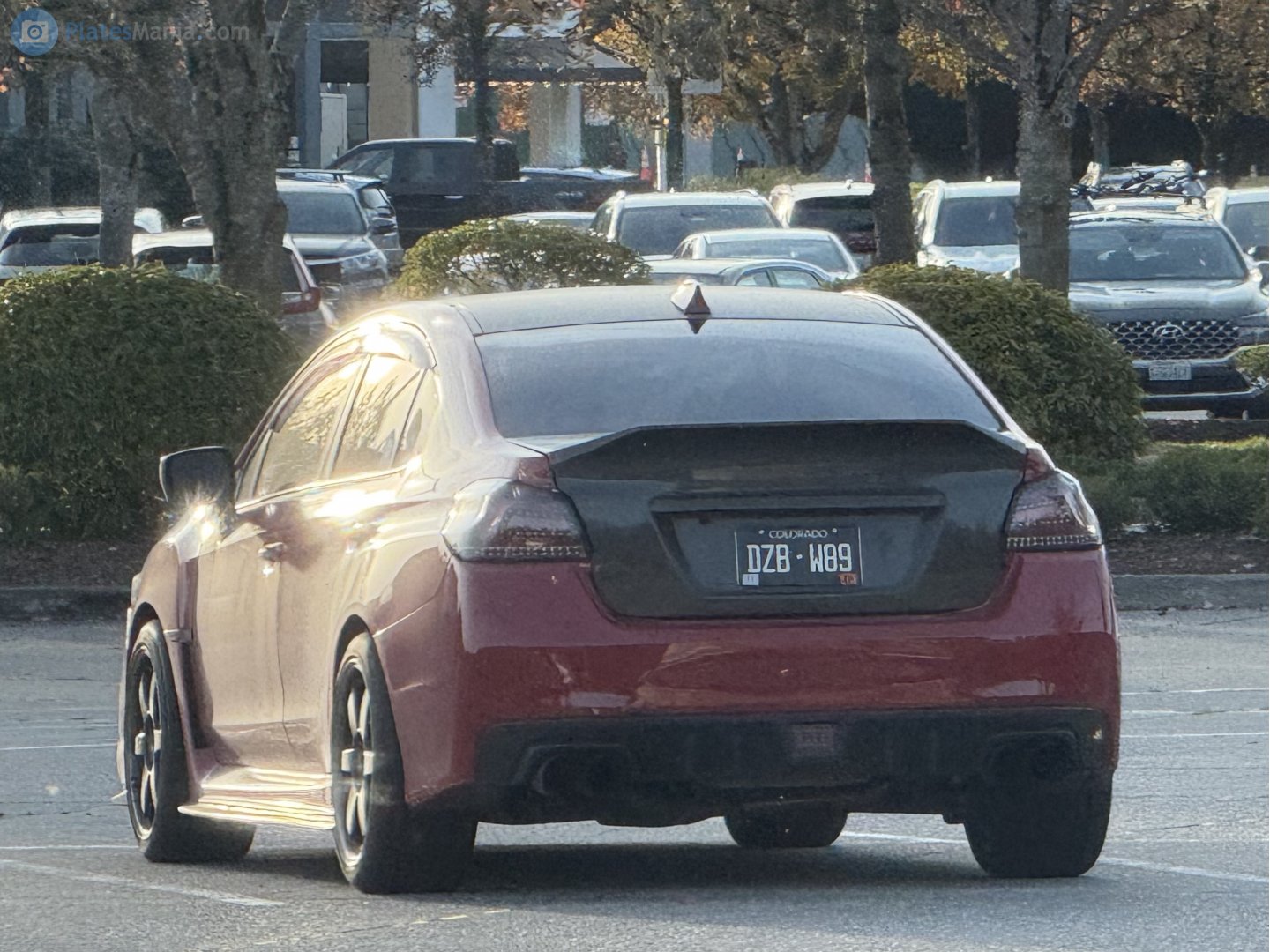 DZB-W89, Subaru WRX 1st gen (VA), 2014–2021