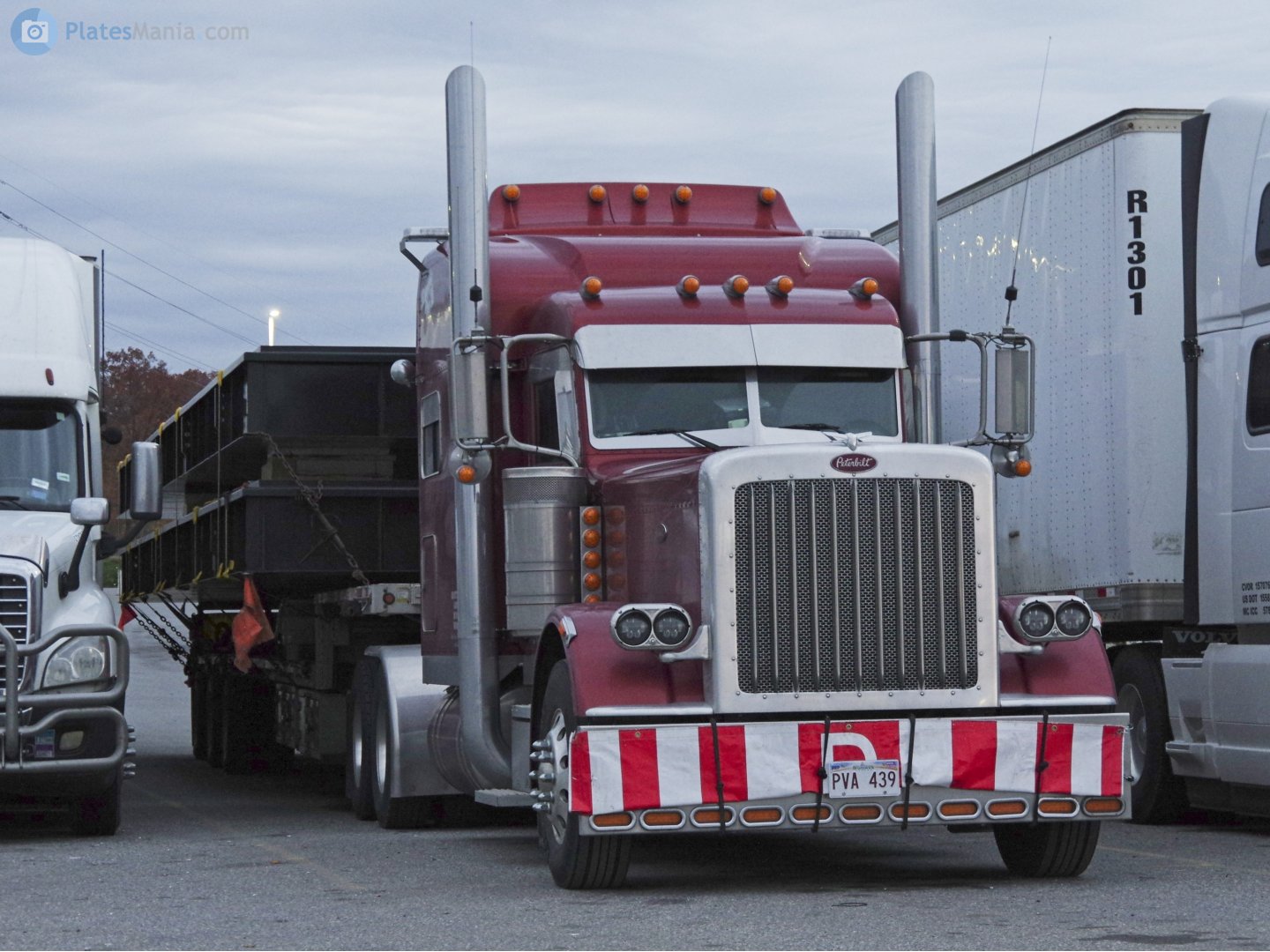 PVA 439, Peterbilt 379 