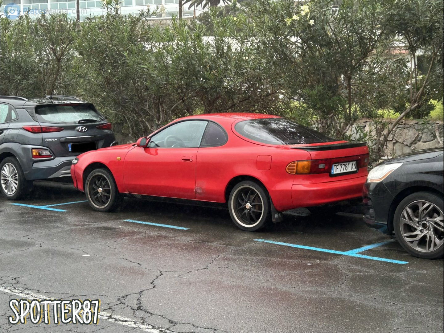 TF 7781 AN, Toyota Celica 