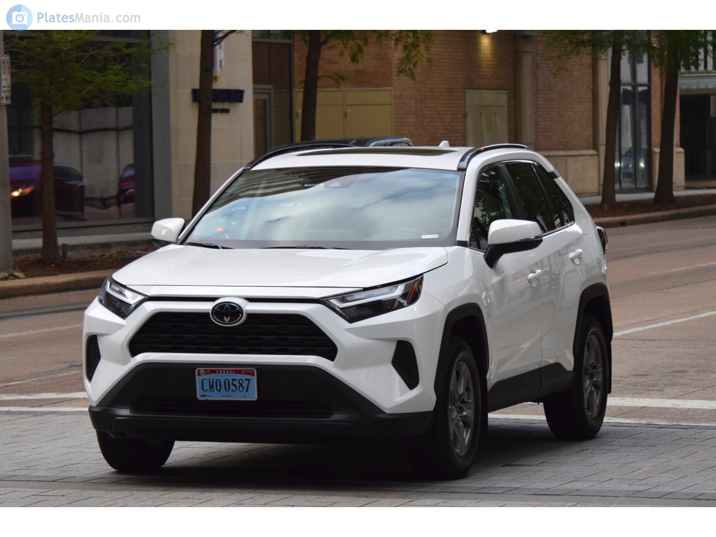 CMQ 0587, Toyota RAV4 5th gen (XA50), 2018–