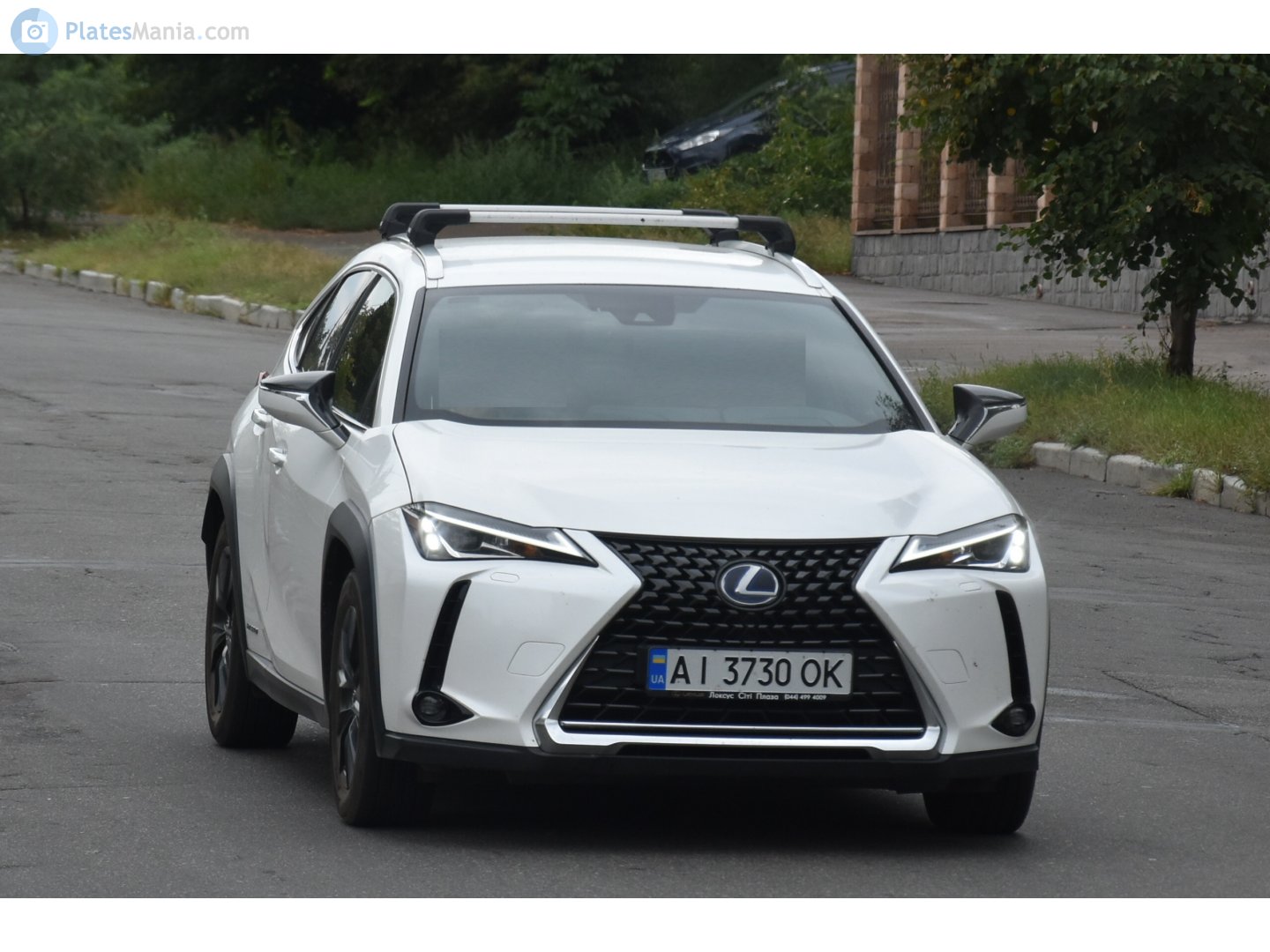 AI 3730 OK, Lexus UX 1st gen (ZA10), 2018–