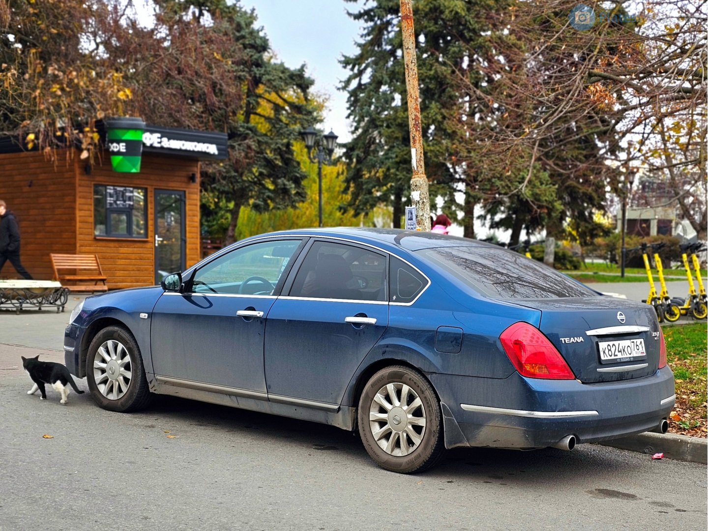 к 824 ко 761, Nissan Teana 1st gen (J31), 2003–2009