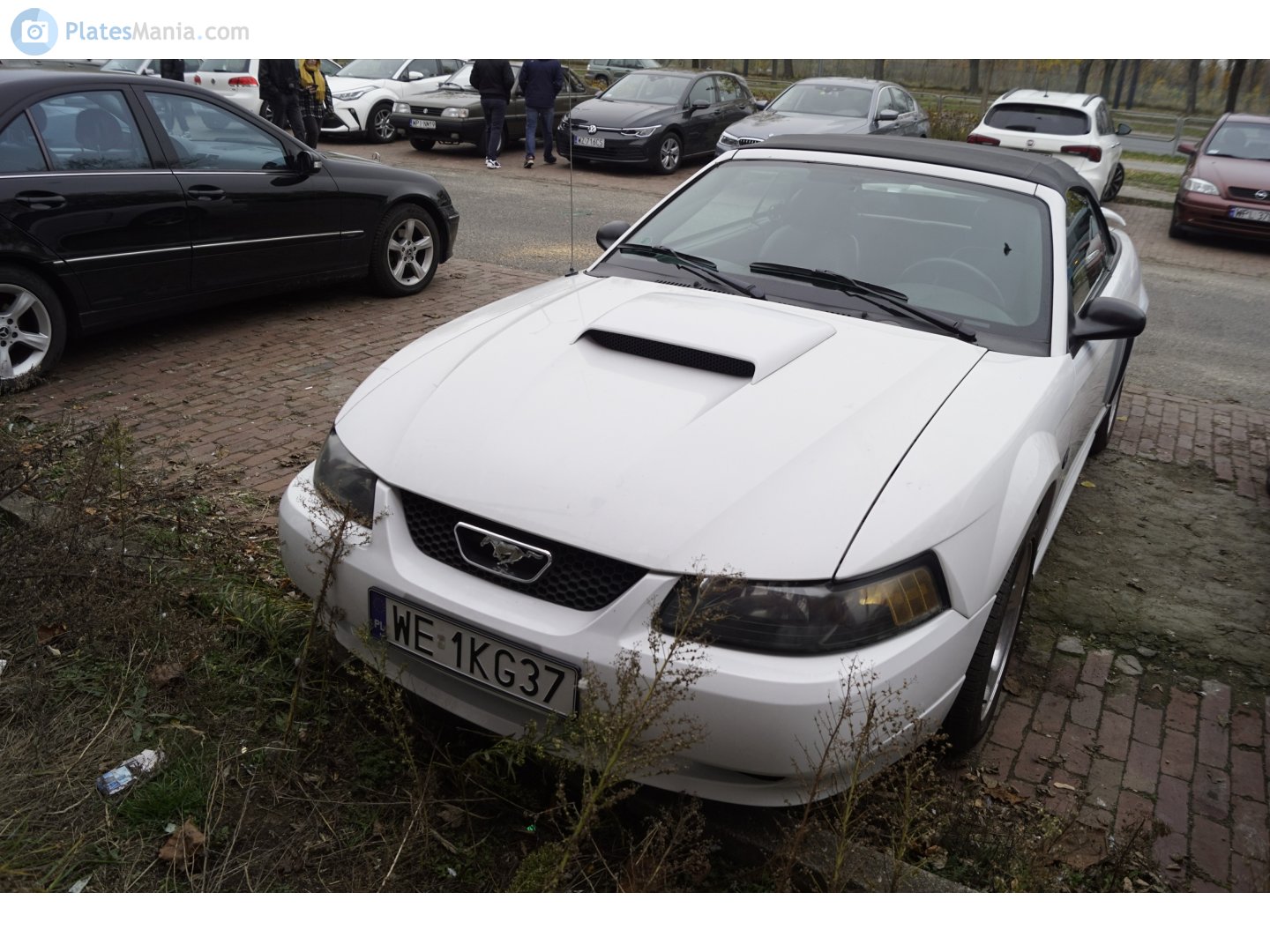 WE 1KG37, Ford Mustang 