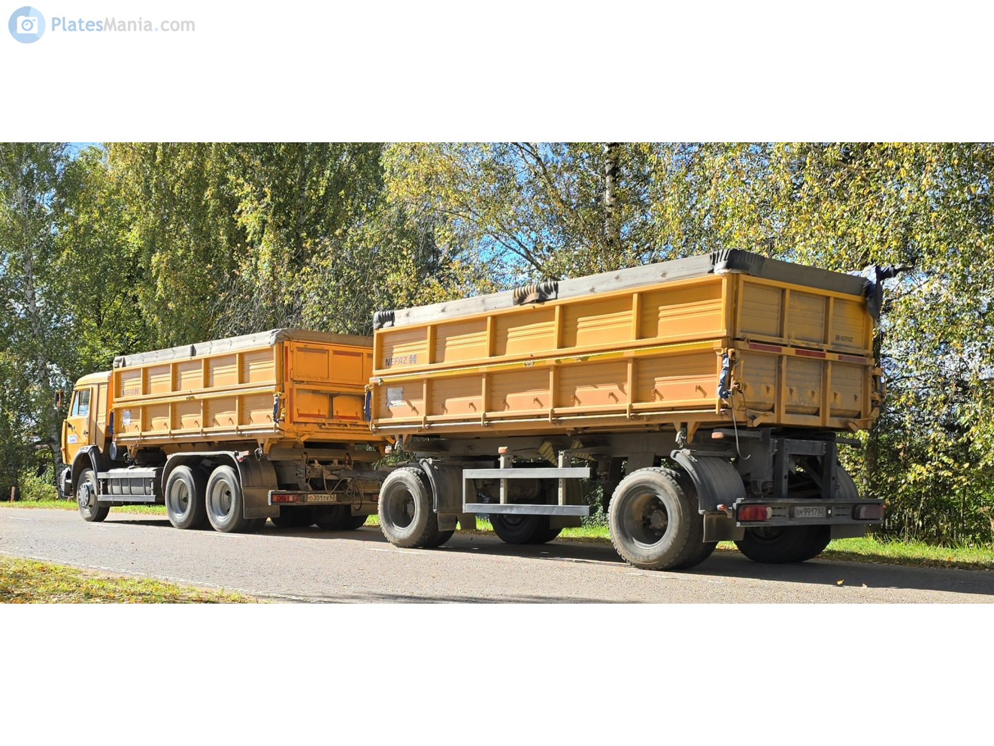 ам 9917 62, NefAZ (NZAS) 8560 