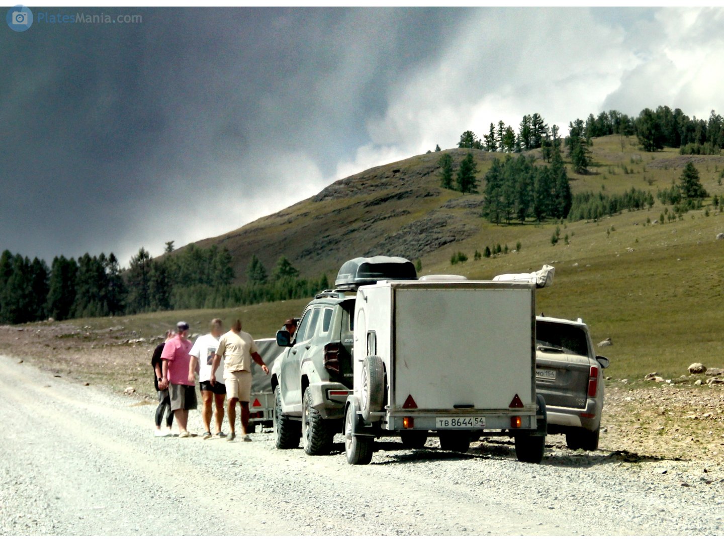 тв 8644 54, LAKER 7133 