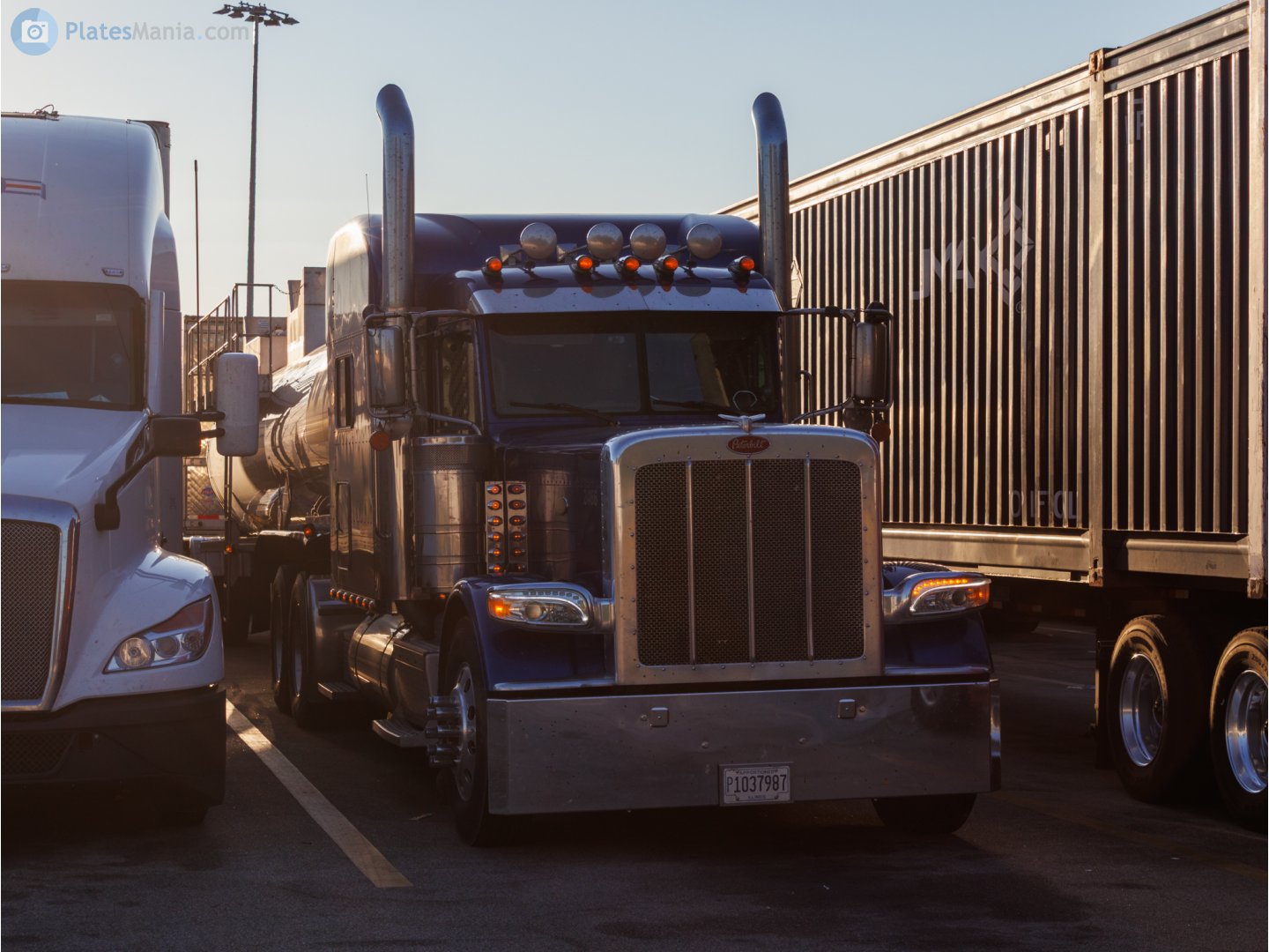 P1037987, Peterbilt 389 