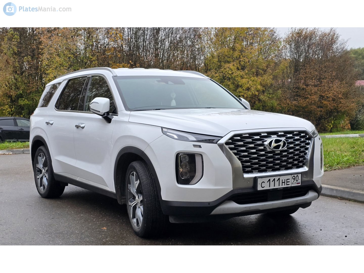 с 111 не 90, Hyundai Palisade 1st gen (LX2), 2019–2022