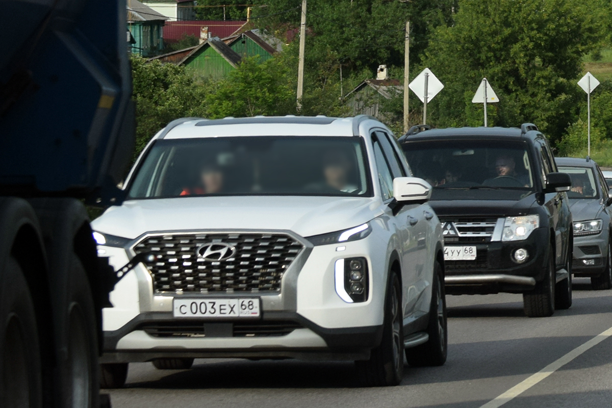 с 003 ех 68, Hyundai Palisade 1st gen (LX2), 2019–2022