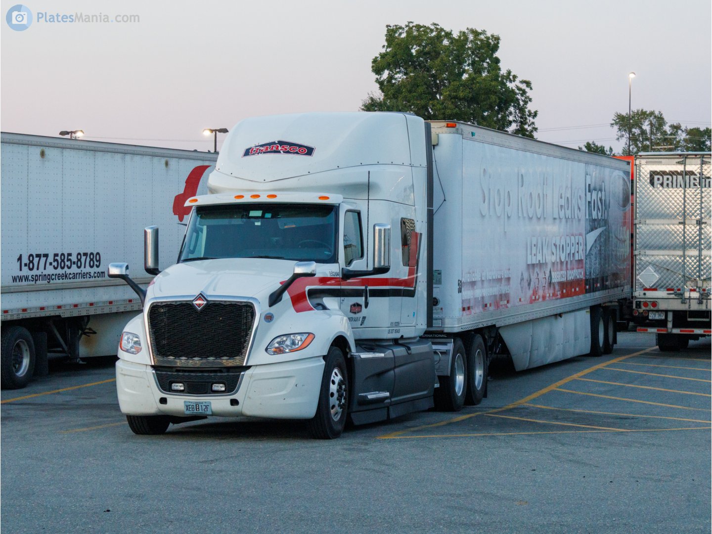 XE8 12F, International LT Series 1st gen, 2017–