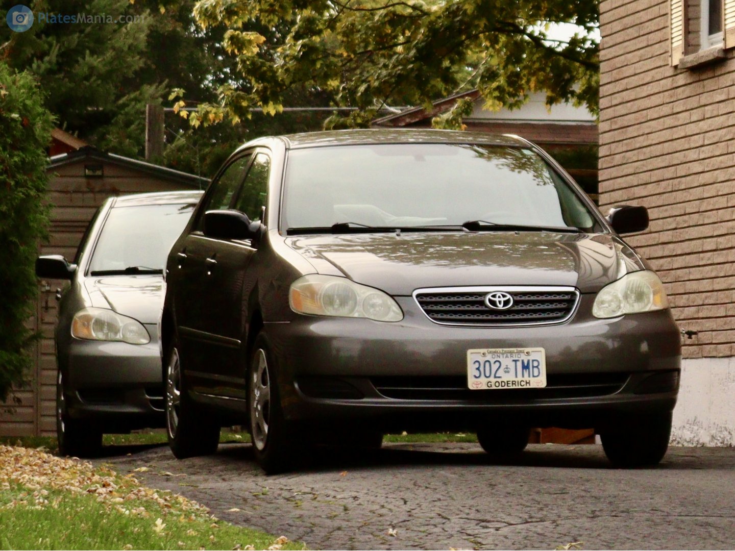 302-TMB, Toyota Corolla 9th gen (EX; Altis) Sedan (E120/E130; Asia-, BR- and NA-market), 2002–2008
