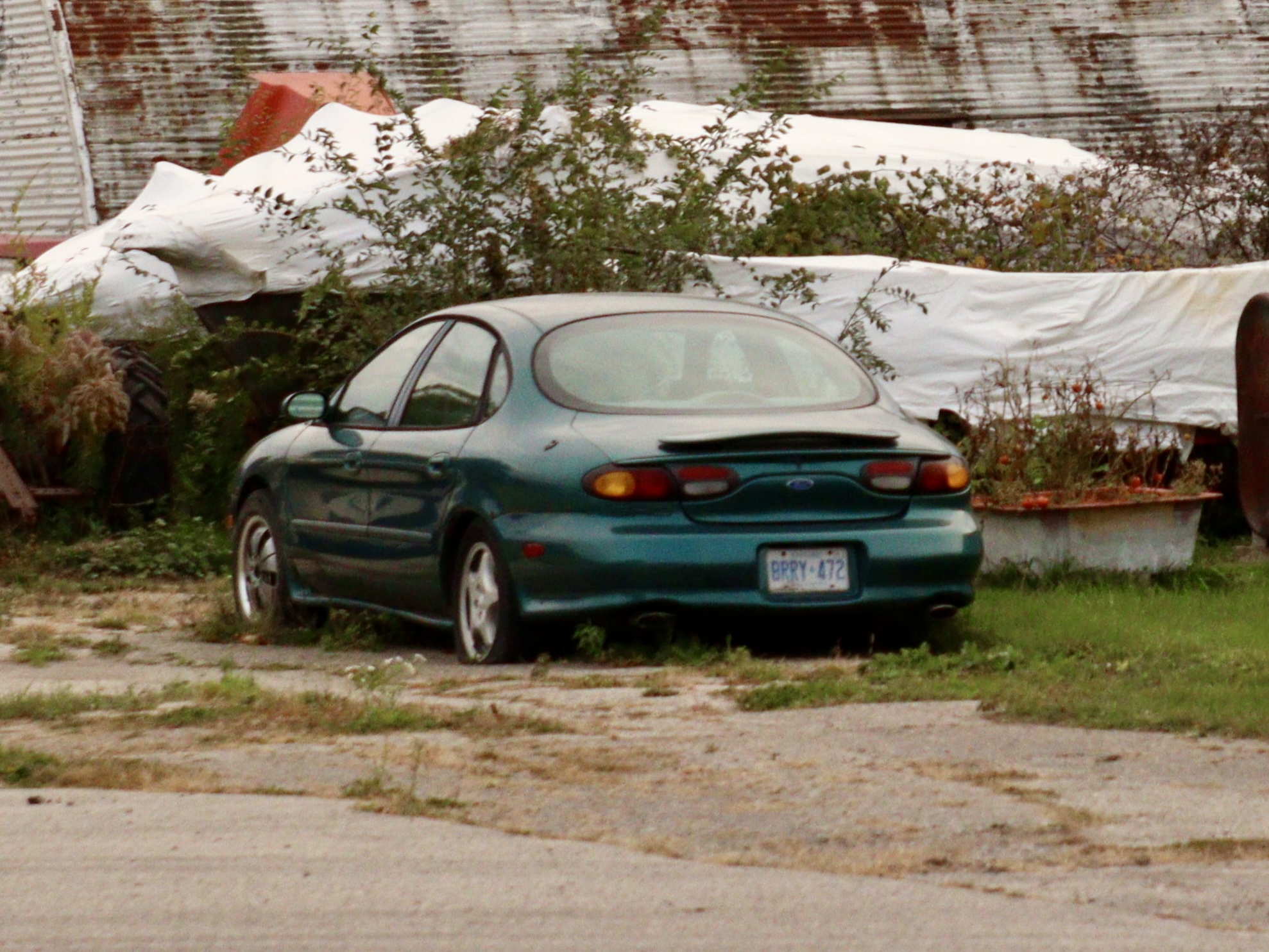 BRRY-472, Ford Taurus 3rd gen Sedan (DN101), 1995–1999