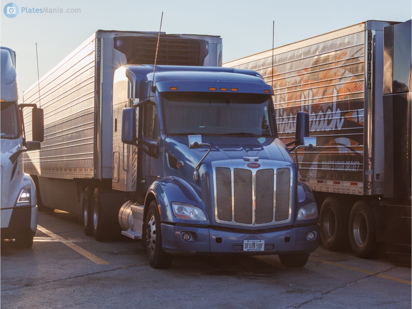 DF0 9DF, Peterbilt 579 1st gen, 2012–2022