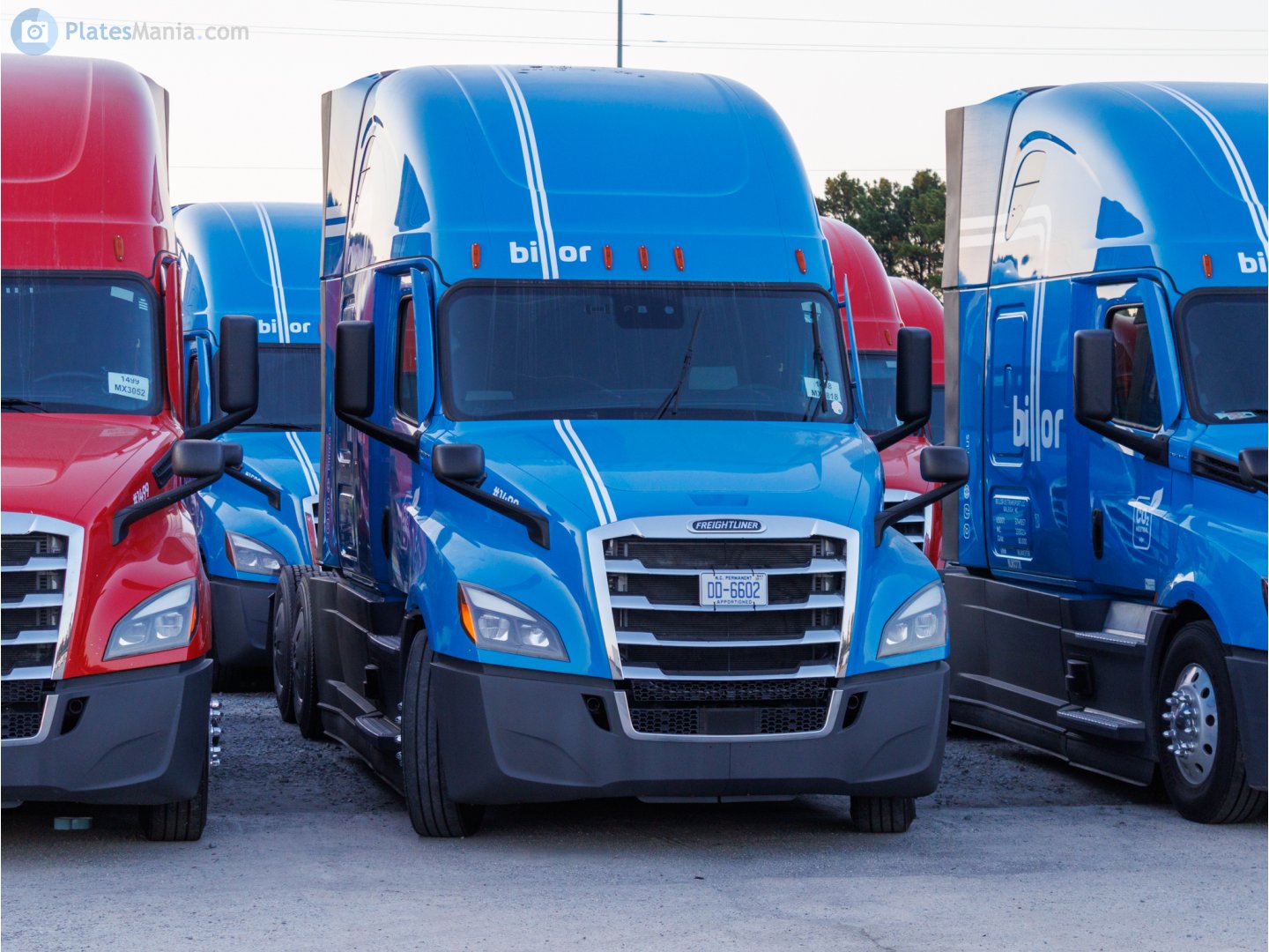 DD-6602, Freightliner Cascadia 3rd/4th gen New Cascadia (2017–)