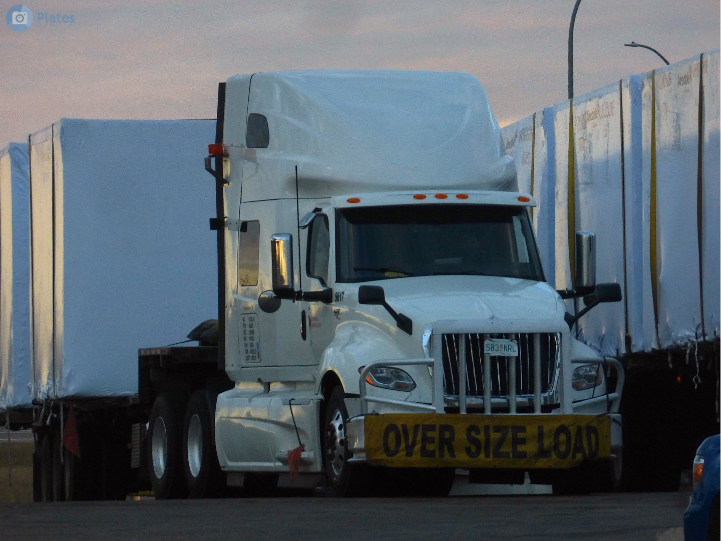 583 NRL, International LT Series 1st gen, 2017–