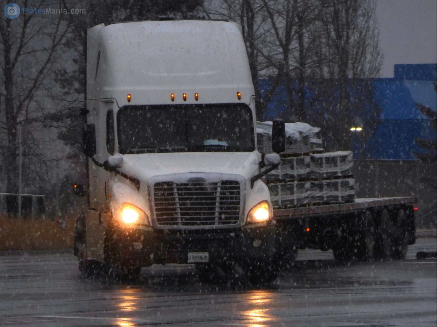 139 NHM, Freightliner Cascadia 1st gen Cascadia (2007–2013) / 2nd gen Cascadia Evolution (2012–2018)