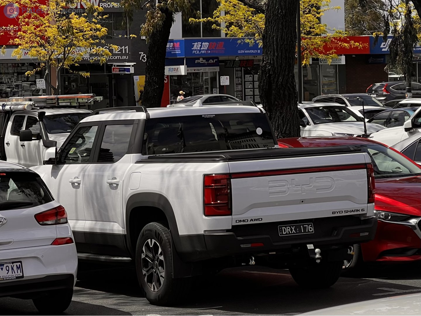 DRX-176, BYD Shark 1st gen (6), 2024–