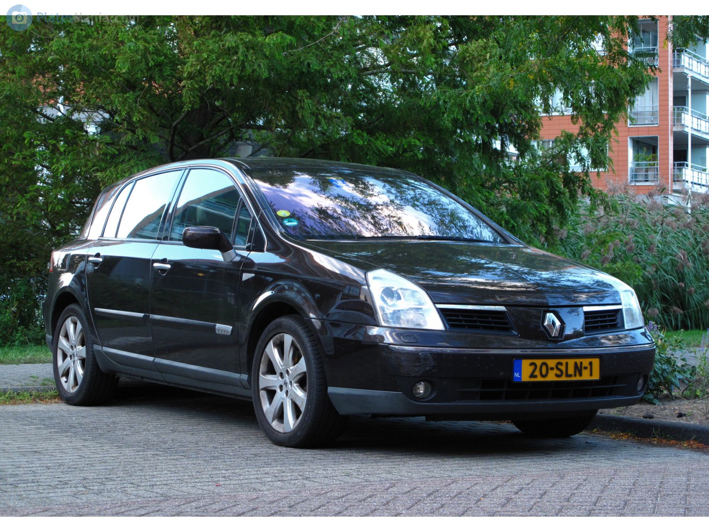 20-SLN-1, Renault Vel Satis 1st gen (B73), 2001–2009