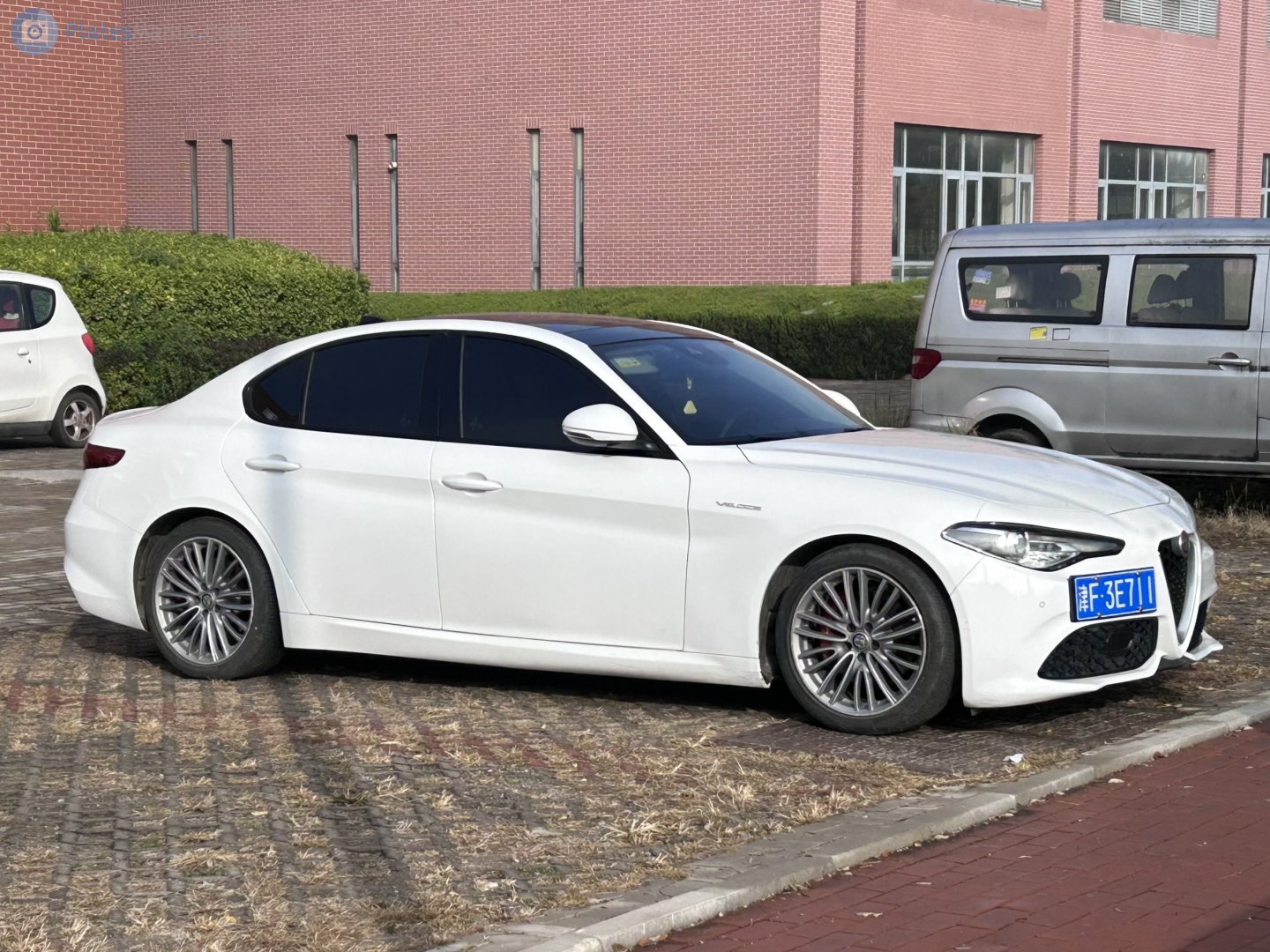 津F·3E711, Alfa Romeo Giulia 2nd gen (952), 2016–