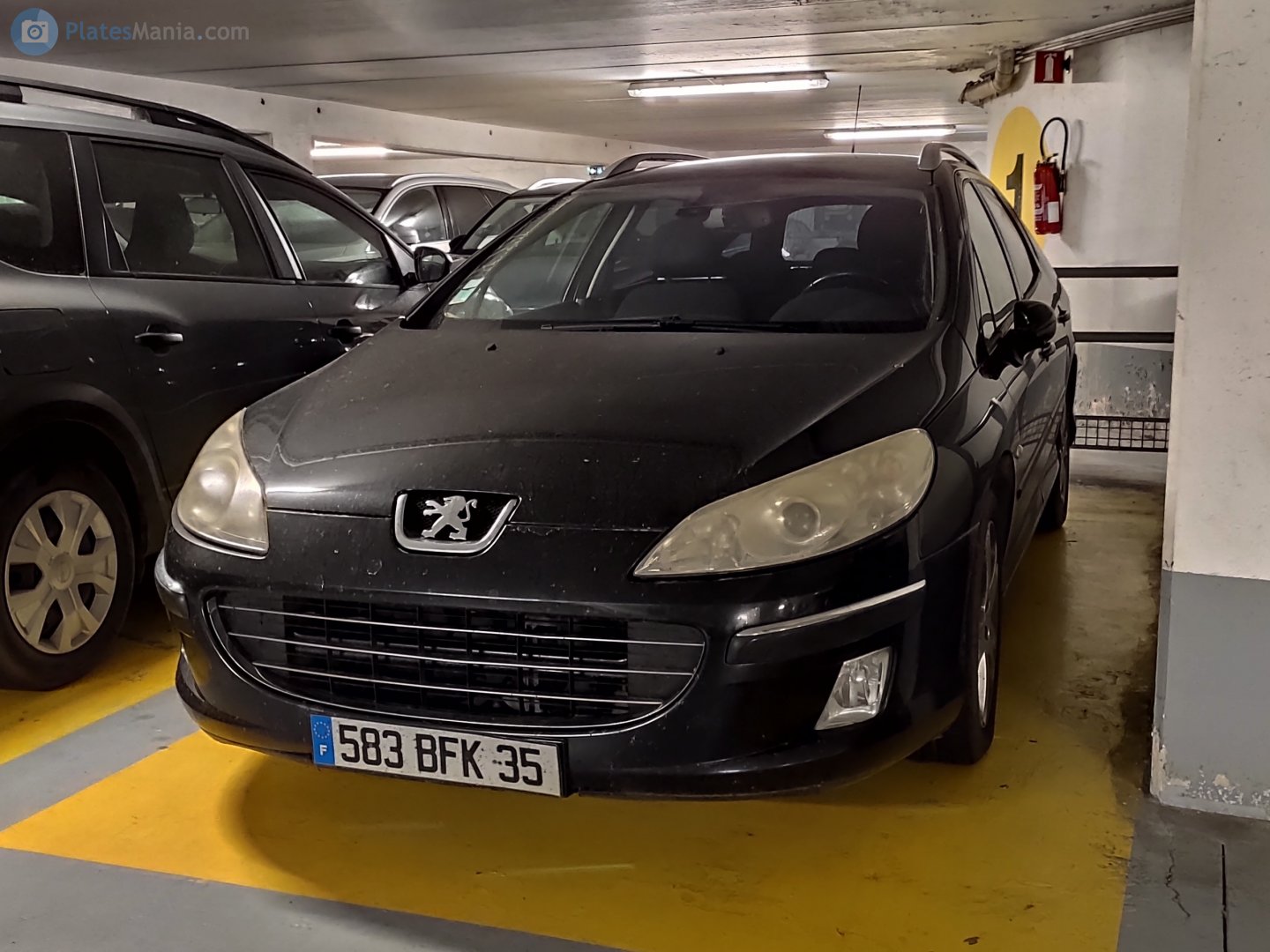 583 BFK 35, Peugeot 407 1st gen SW Wagon (D22), 2004–2010