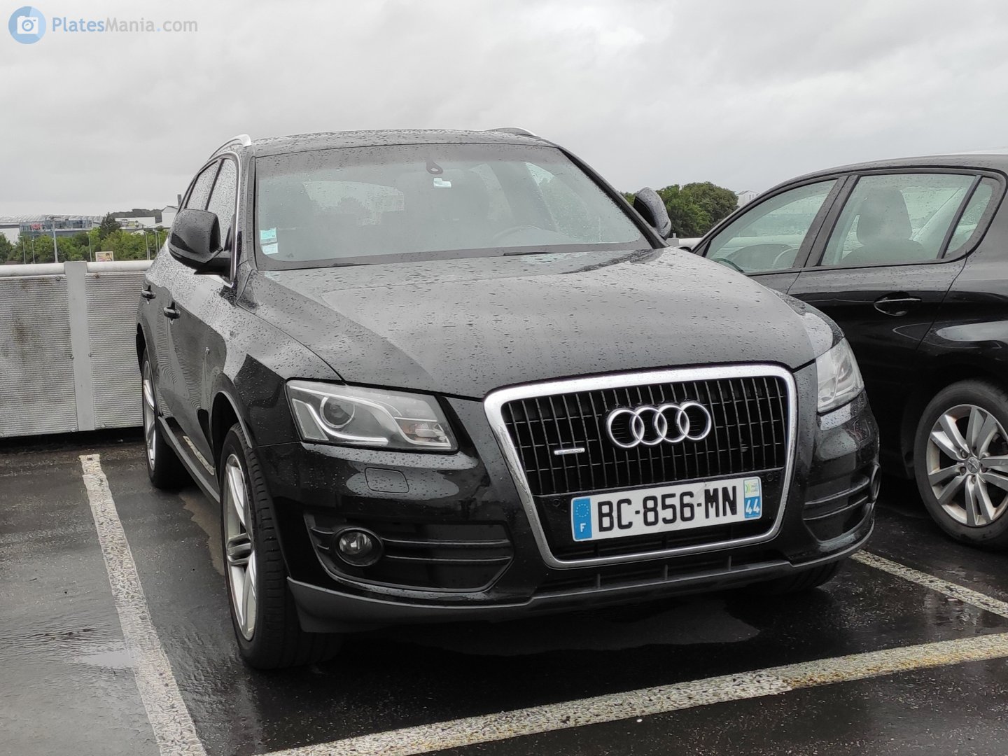 BC-856-MN, Audi Q5 1st gen (8RB), 2008–2017