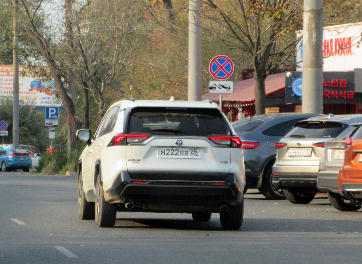 м 222 вв 25, Toyota RAV4 5th gen (XA50), 2018–