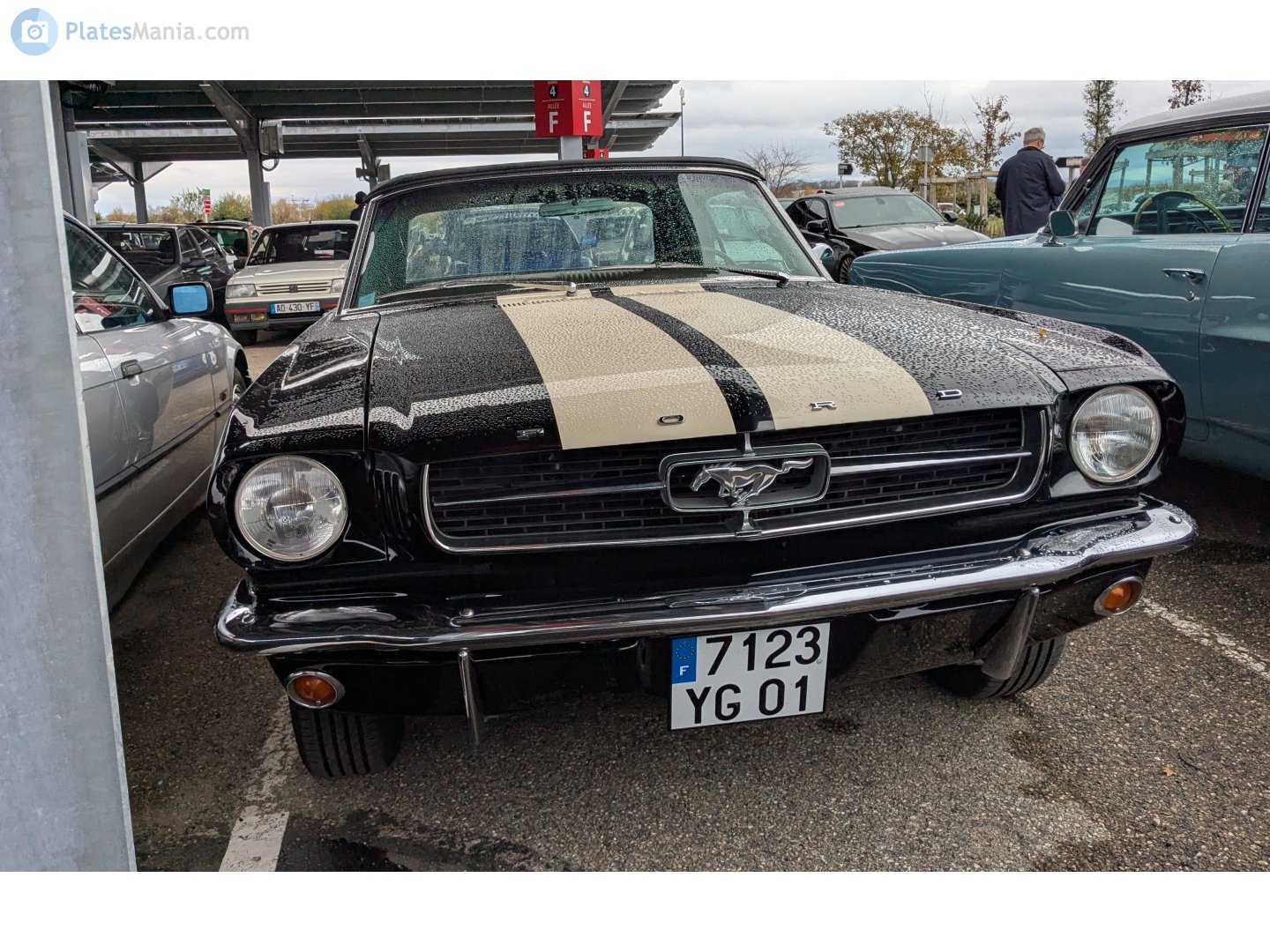 7123 YG 01, Ford Mustang 