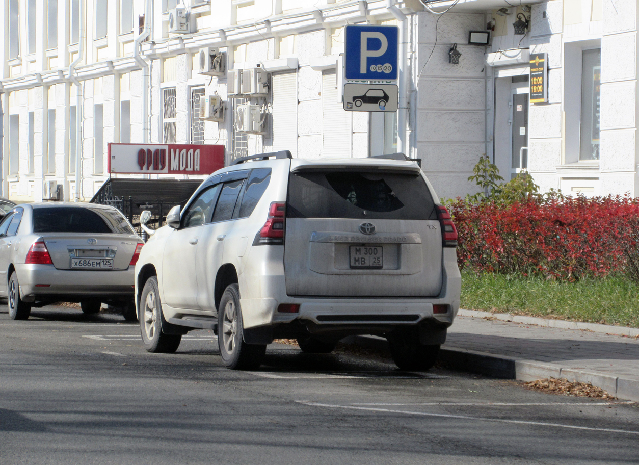 м 300 мв 25, Toyota Land Cruiser Prado 4th gen 5-door SUV (J150), 2nd facelift, 2017–2023