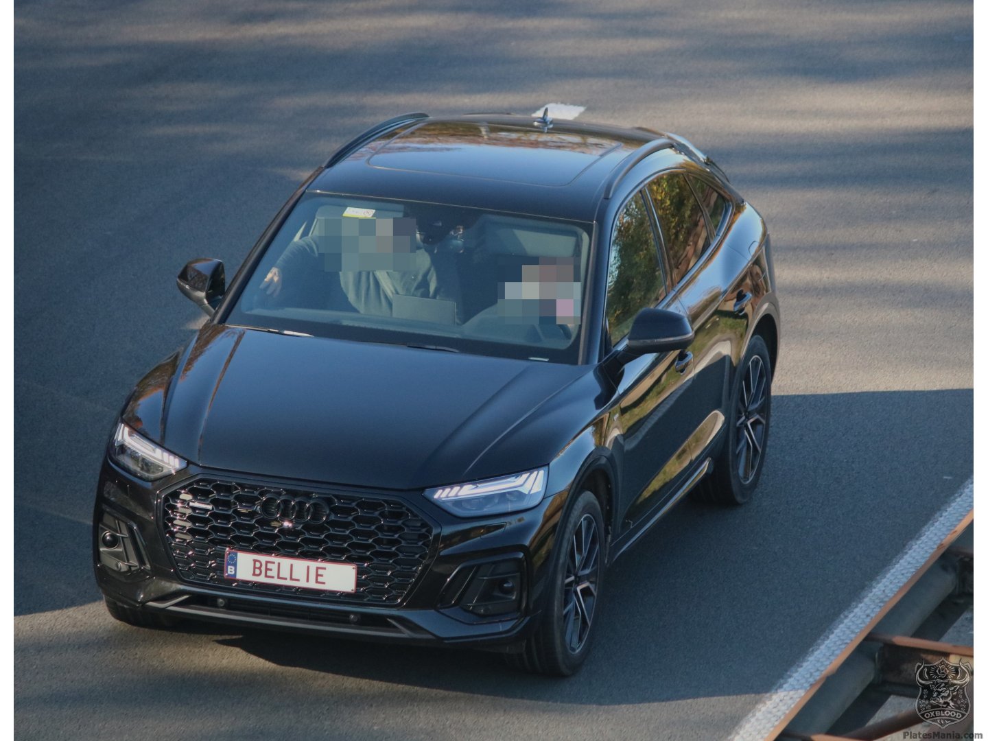 BELLIE, Audi Q5 3rd gen Sportback, 2025–