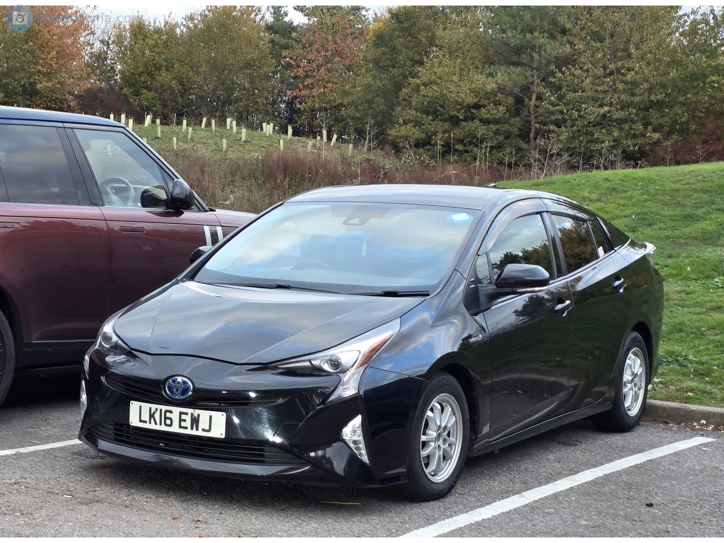 LK16EWJ, Toyota Prius 4th gen (ZVW50), 2015–2019