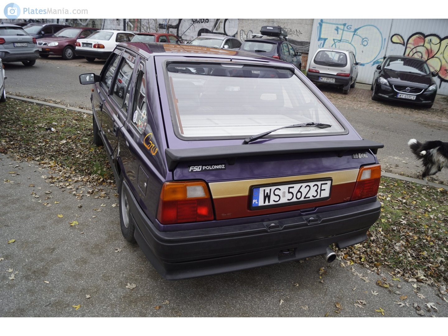WS 5623F, FSO Polonez 
