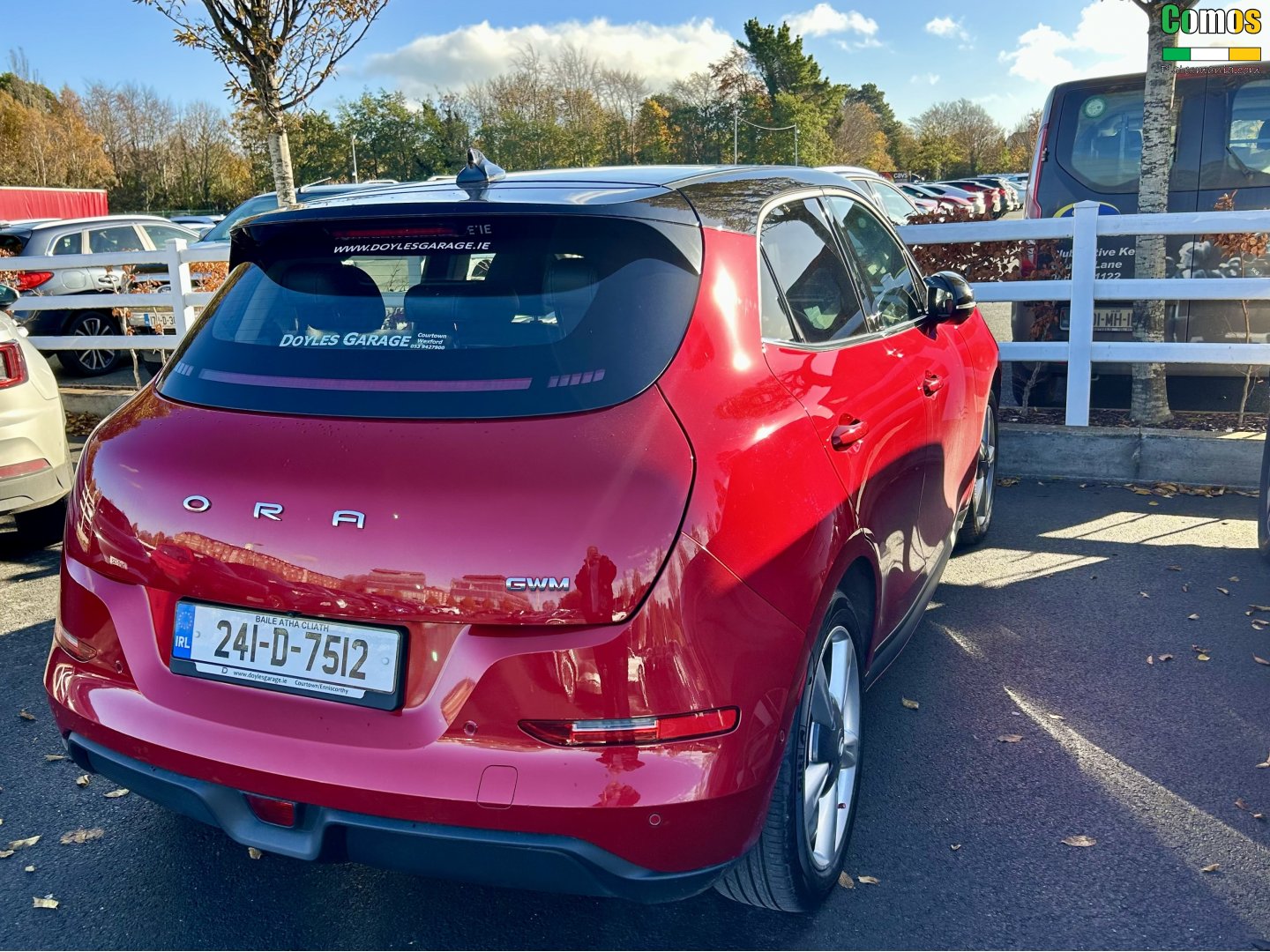 241-D-7512, Ora (Oula) 03/ Haomao/ Good(Funky) cat 1st gen (ES11), 2020–