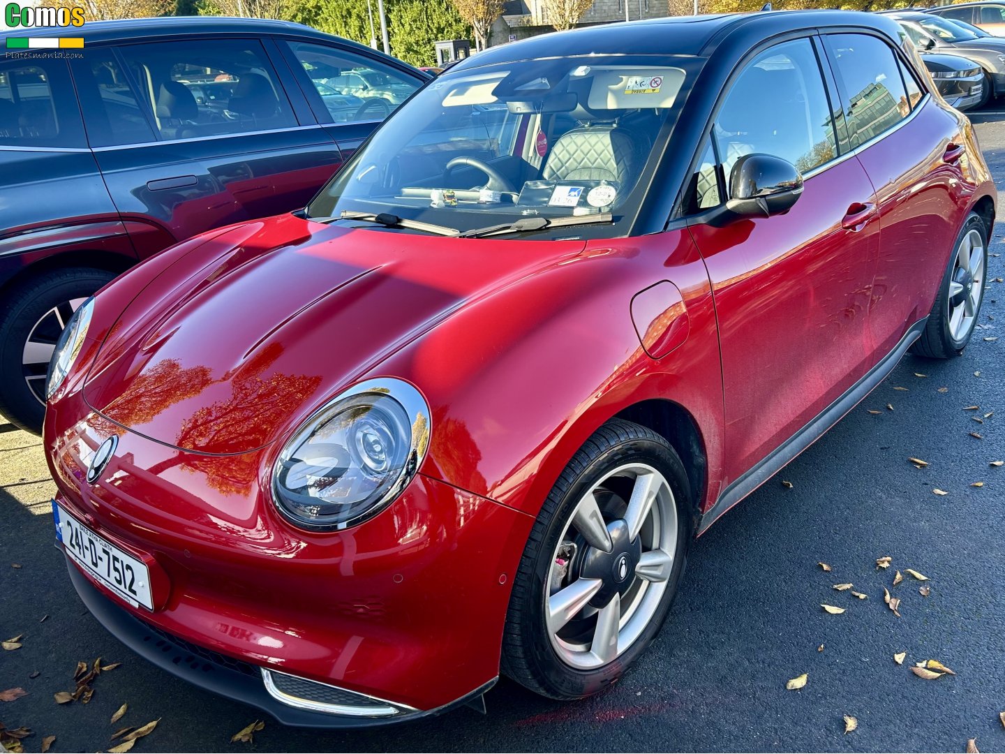 241-D-7512, Ora (Oula) 03/ Haomao/ Good(Funky) cat 1st gen (ES11), 2020–