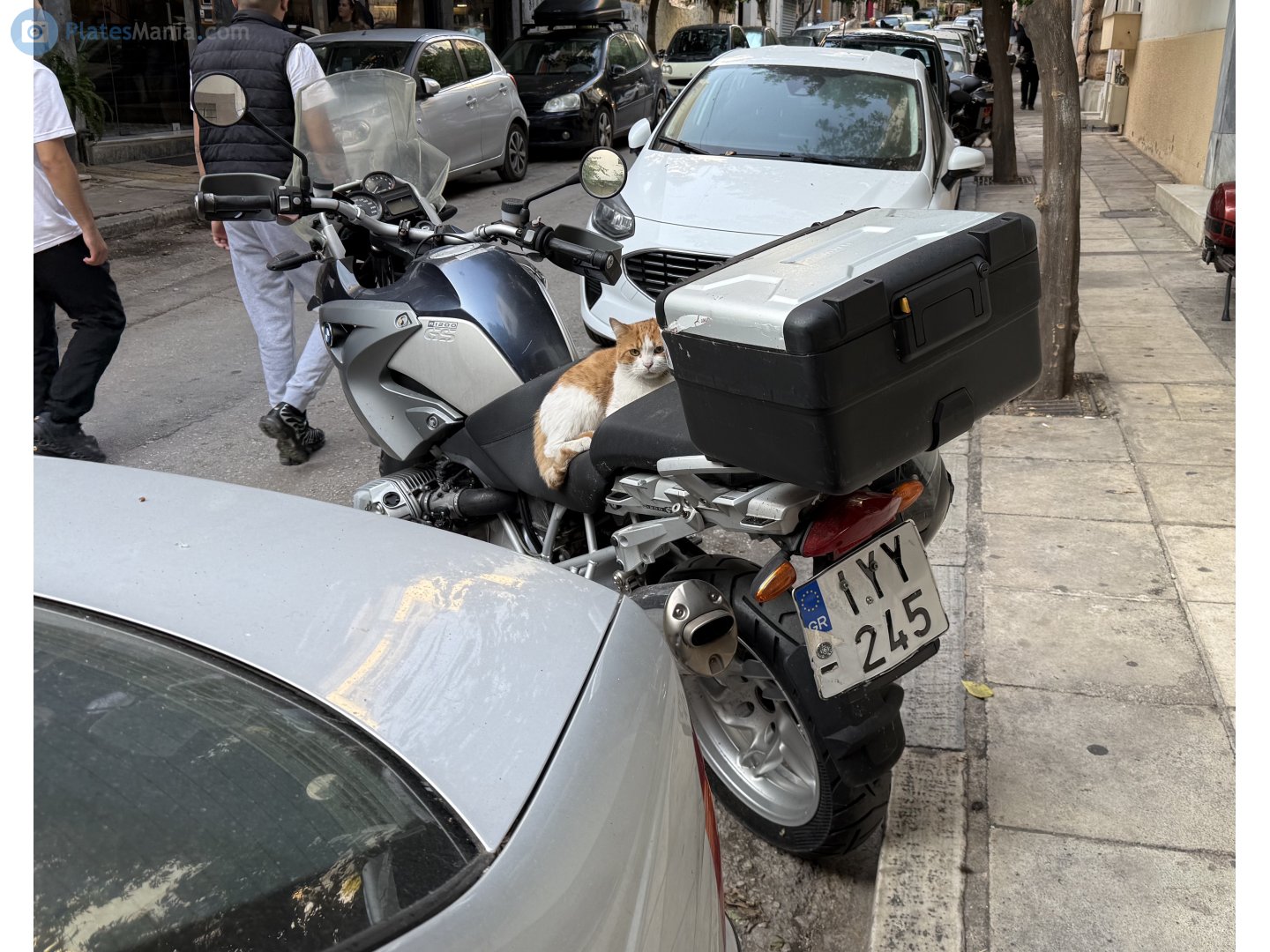 IYY-245, BMW R Series R1200GS, 2004–2012