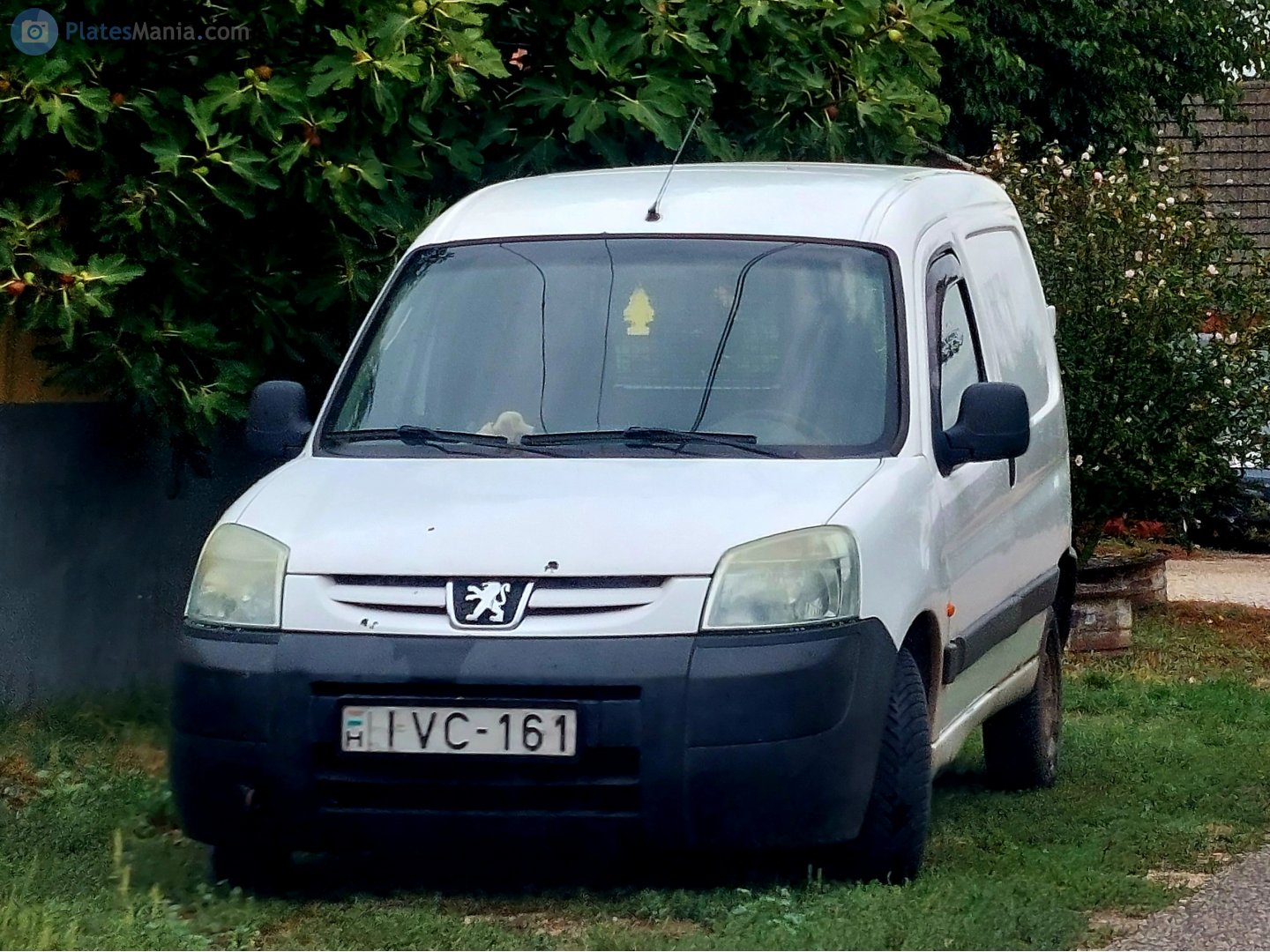 IVC-161, Peugeot Partner 1st gen (Origin) (M49), facelift, 2002–2013 (–present for LATAM-market)